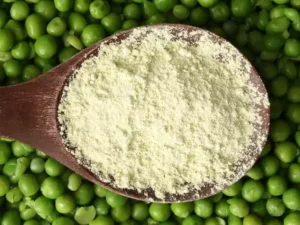 Pea Protein: The Plant Based Ingredient Quietly Changing How We Think About Protein